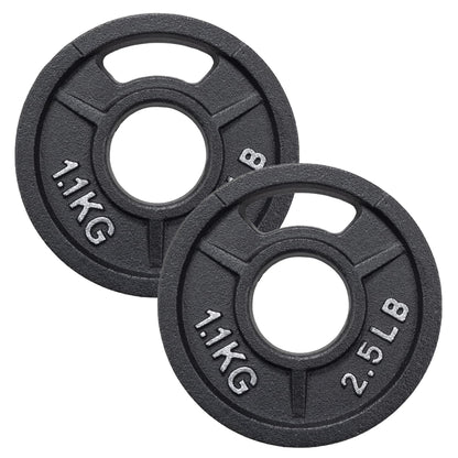 Fitvids  1-Inch Standard Cast Iron Plate Weight Plate 2 X 2.5LBS for Strength Training, Weightlifting and Crossfit