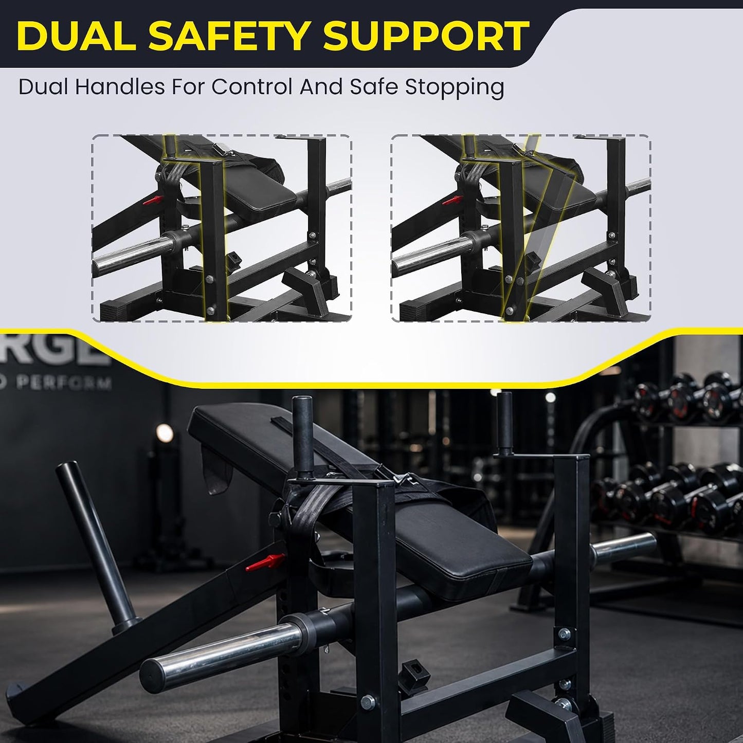 Fitvids Plate-Loaded Glute Bridge Hip Thrust Machine, Fully Upgraded Heavy Duty Glute Trainer, Professional Sports Training Equipment for Home Gym Butt Shaping and Muscle Growth
