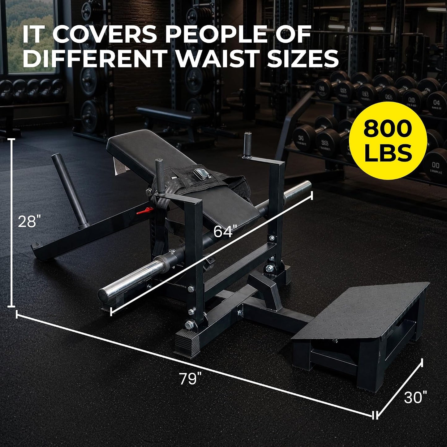 Fitvids Plate-Loaded Glute Bridge Hip Thrust Machine, Fully Upgraded Heavy Duty Glute Trainer, Professional Sports Training Equipment for Home Gym Butt Shaping and Muscle Growth