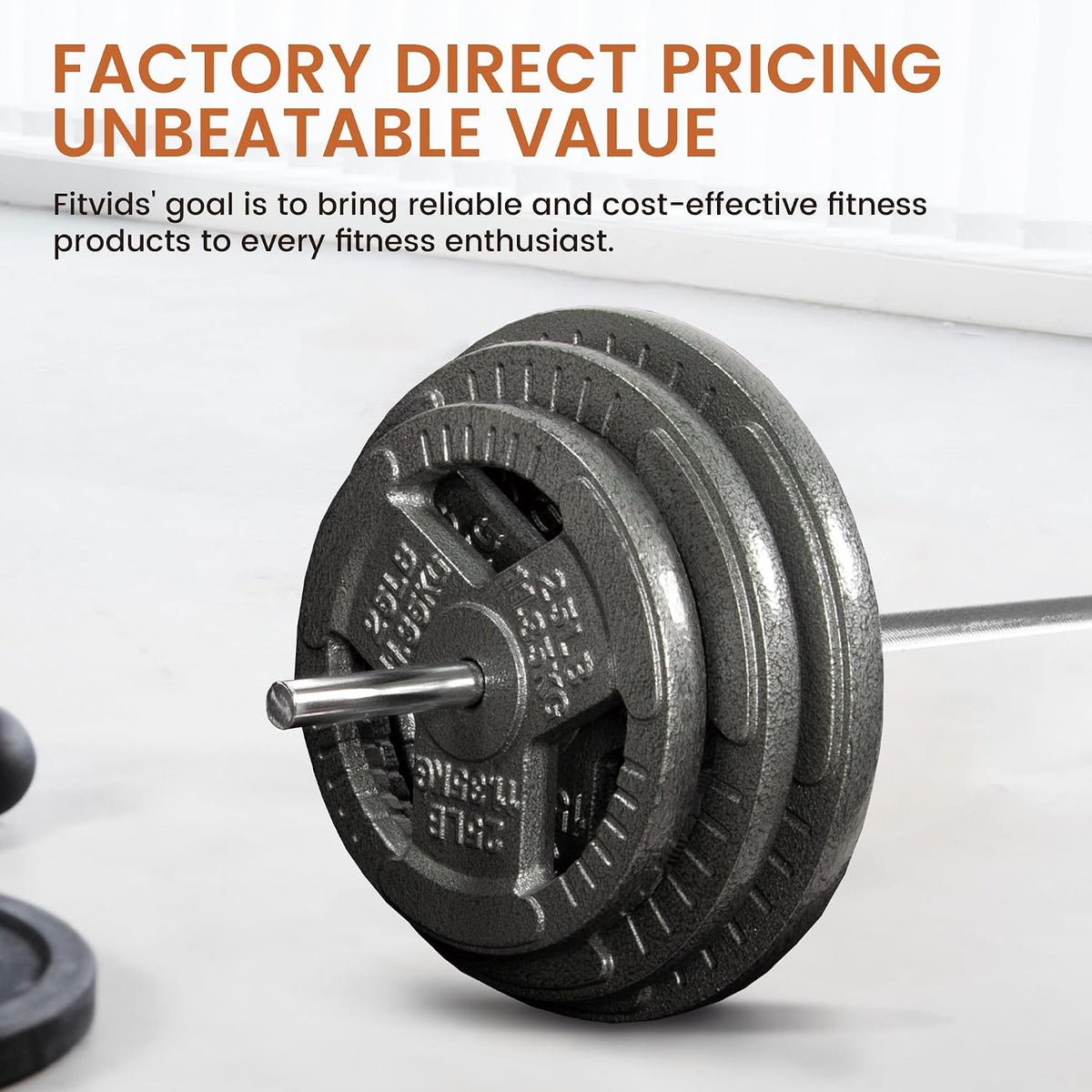 Fitvids 1 Inch Standard Barbell Bar, 5 Feet Weight Lifting Bar for Home Gym Strength Training, Bench Press, 300LBS Capacity